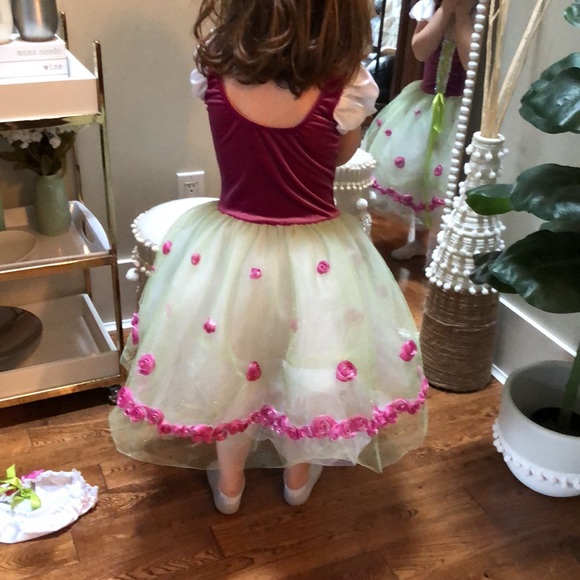 Girls 4T costume / party / fancy dress. - Picture 3 of 6